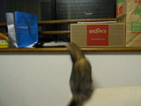 20061120_6