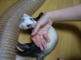 20060630_2