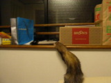 20061120_5