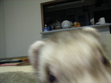 20061005_4