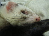20061030_1