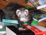 20070123_5