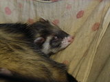 20061207_5