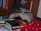 20070123_3