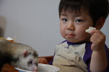 盗み食い。。。