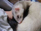 20070116_1