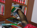 20070123_2