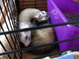 20061102_2