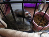 20061102_1