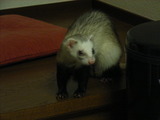20061022_2