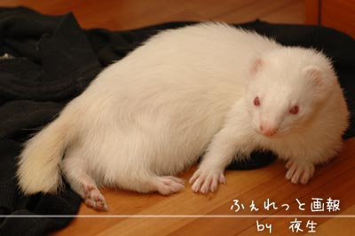051125-10蒼