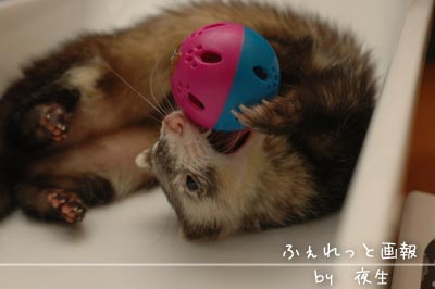 051125-5いろ