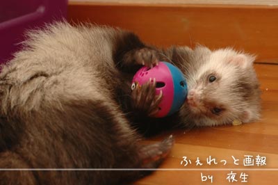 051125-7あげ