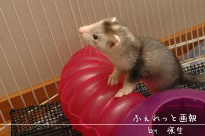 051125-13緋