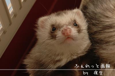 051125-6あげ