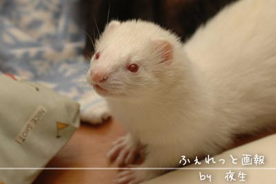 051125-11蒼