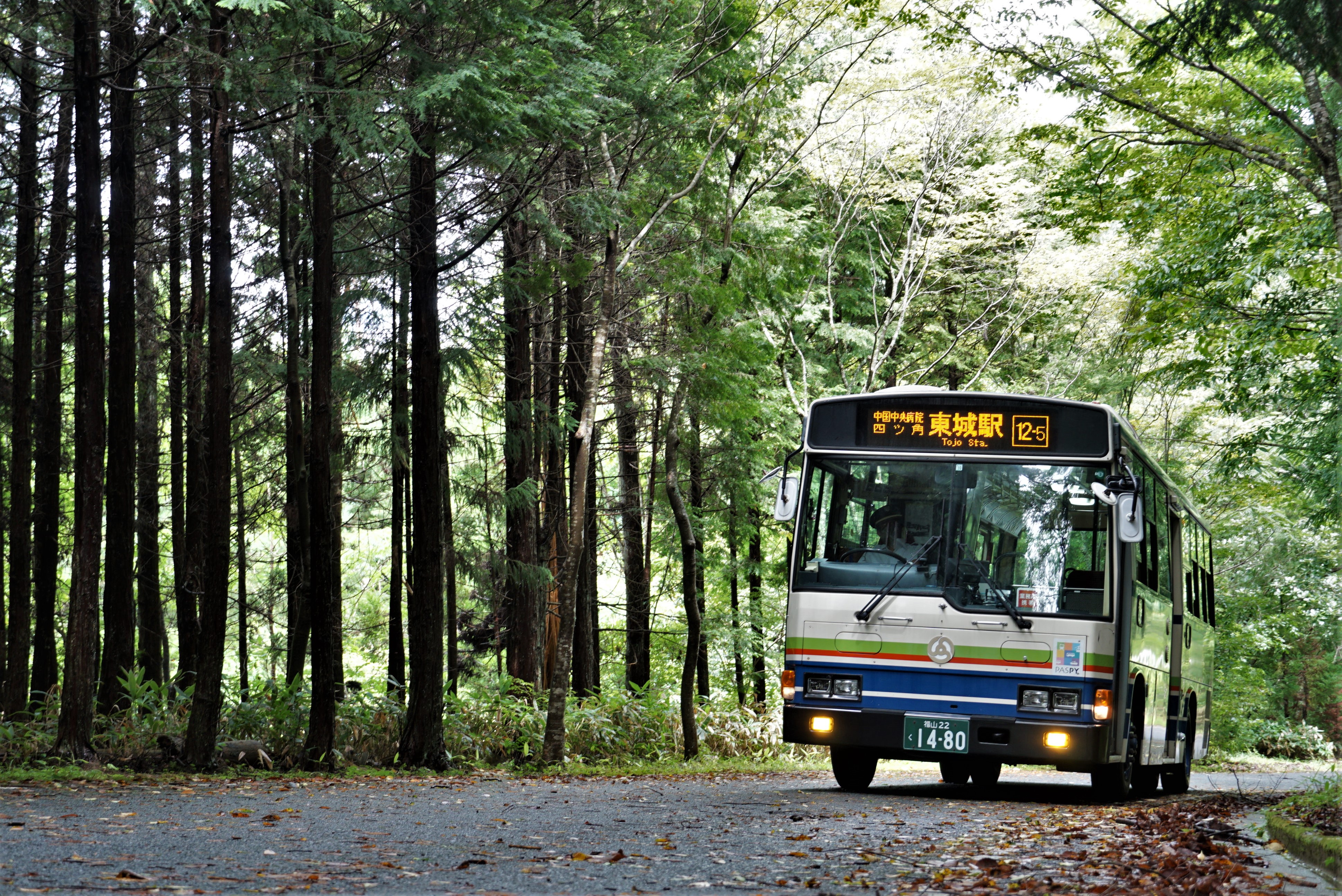 中国バスH9807(除籍) : とびぃの落書帳