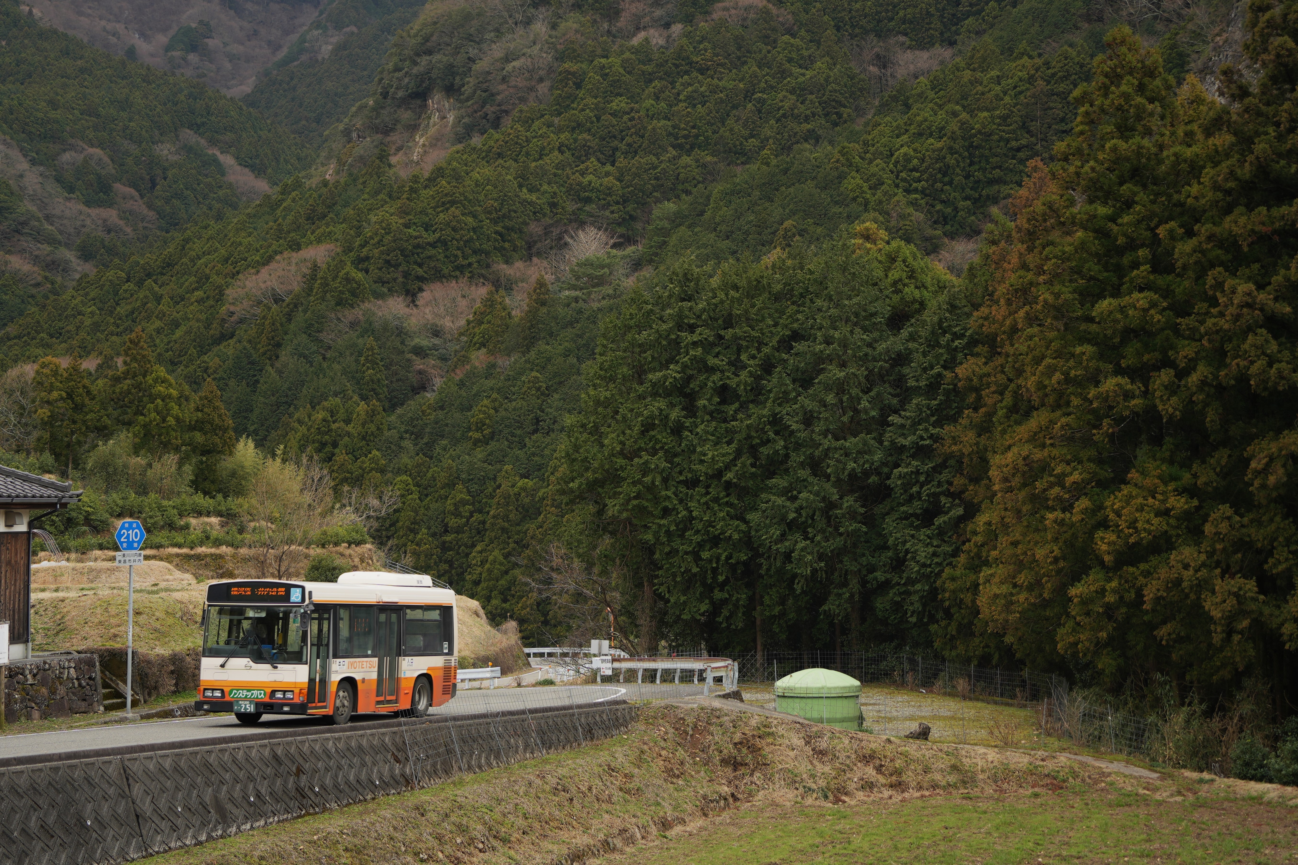 伊予鉄バス251 : とびぃの落書帳