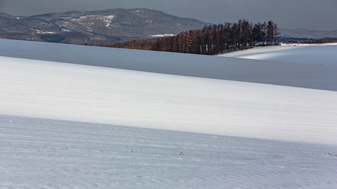 雪原