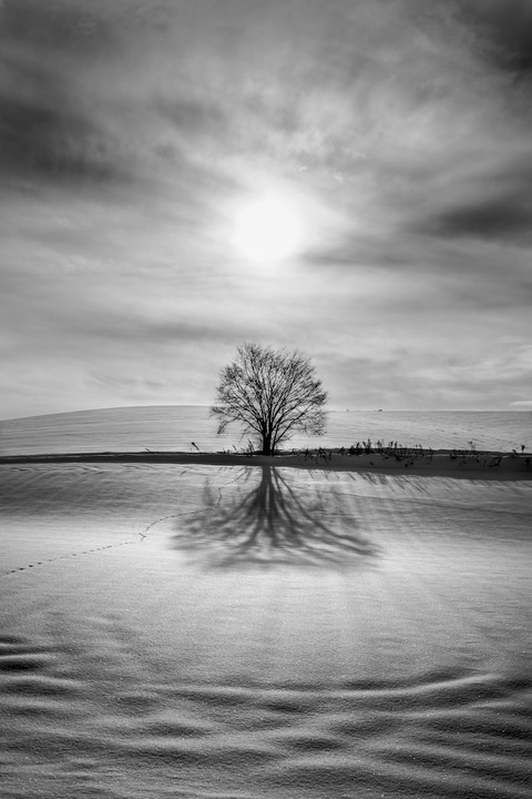 雪原2017-7 smart copy