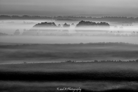 030A2565-Edit