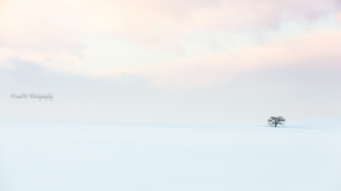 017A7278