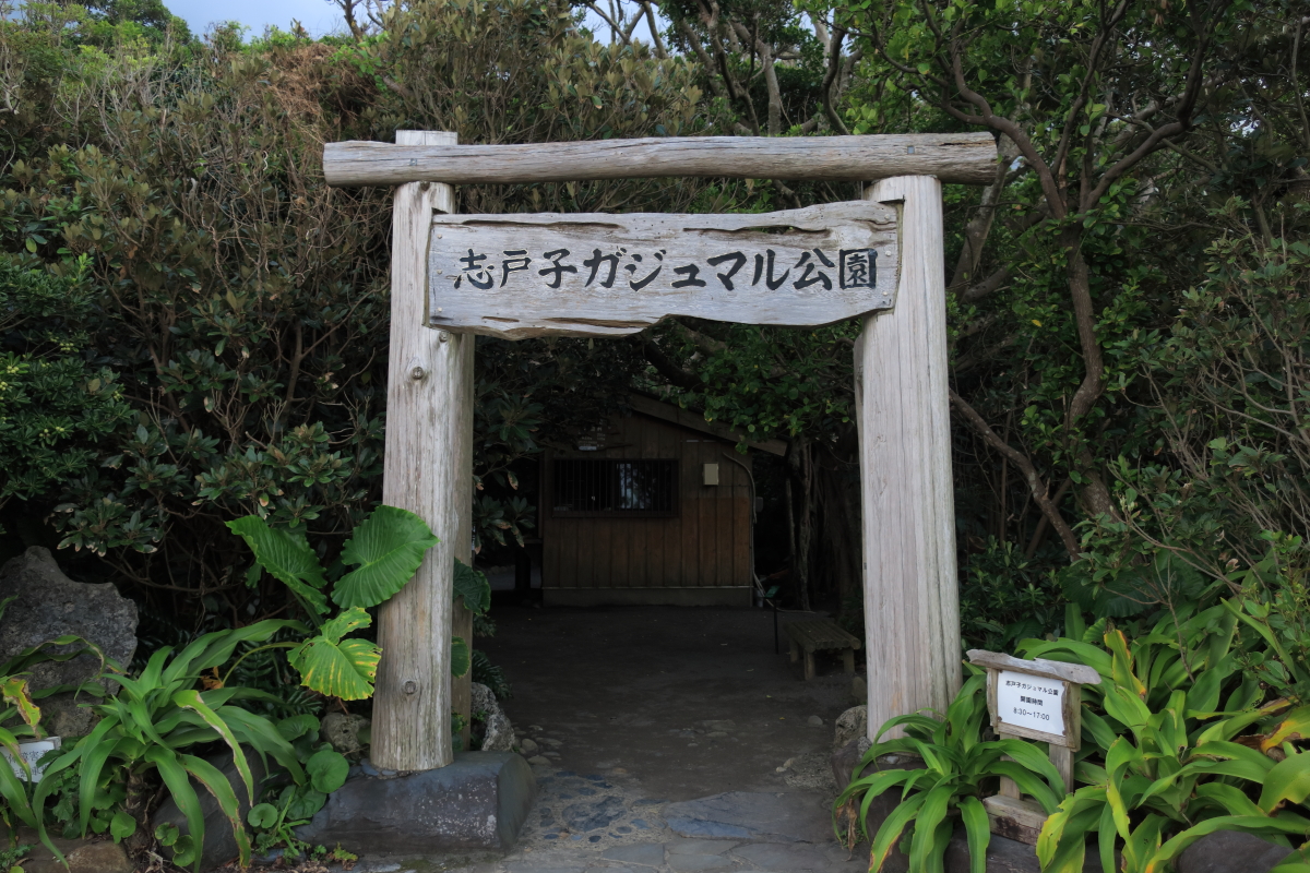 道 Road 道路 屋久島 志戸子ガジュマル公園 鹿児島県