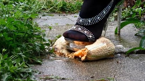 動画 銀色に輝く美しいハイヒールでメロンを踏み潰し フードクラッシュ本舗 フードクラッシュを中心に画像や動画を紹介