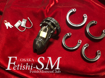 プラスチック製貞操帯 CB6000 射精管理