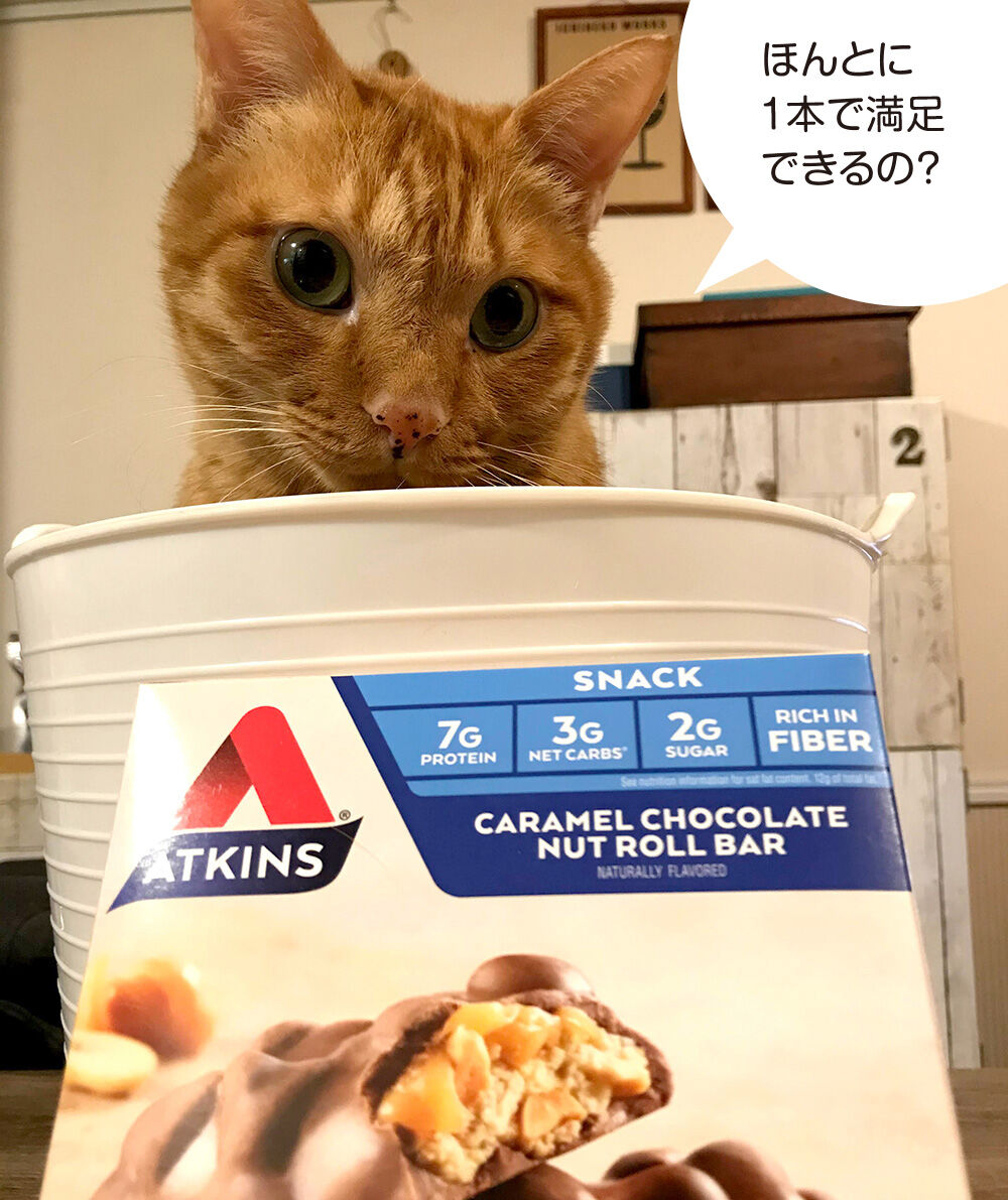 疑いの眼差し 一日一猫 いちねこブログ 疑いの眼差し 一日一猫 いちねこブログ