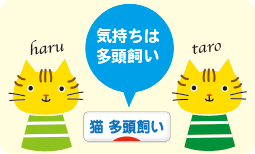にほんブログ村 猫ブログ 猫 多頭飼いへ