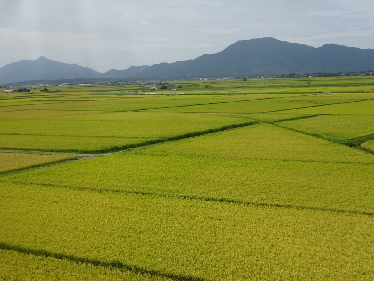 色づく越後平野に広がる水田地帯 フェイたんダイアリー In 新潟 色づく越後平野に広がる水田地帯 フェイたんダイアリー In 新潟