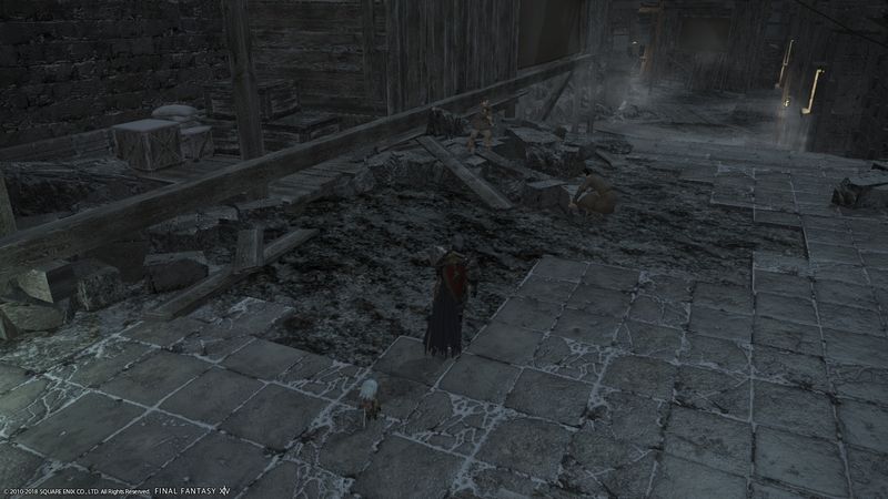 パッチ5 0 イシュガルド復興クエスト Ff14 初心者光の戦士の誇大妄想手帳