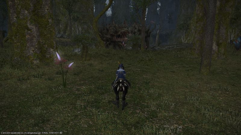 いつかの記憶とブルートーテムの取得方法 Ff14 初心者光の戦士の誇大妄想手帳