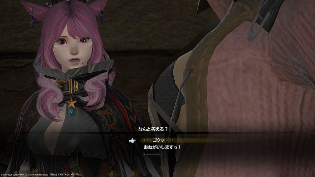 20200718_ffxiv_11