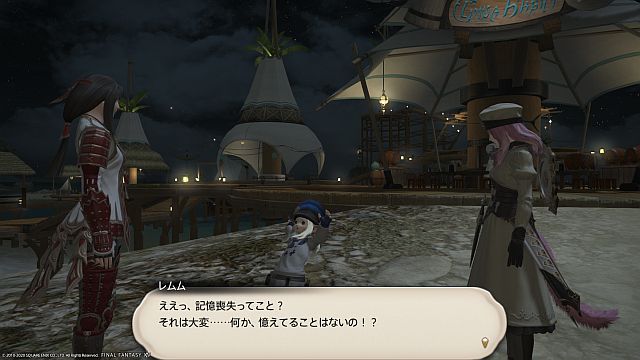 20200613_ffxiv_04