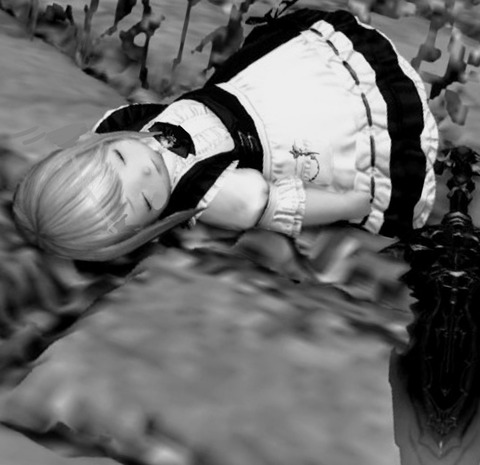 export202202211454466600~2