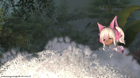 242522FBF2E6143E_message_442729032827412_1729410284482