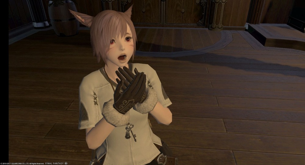 【FF14】野良PTの「MTさん進行お願いします」文化、もう古くない？今の主流は募集主進行だよな🤔のサムネイル