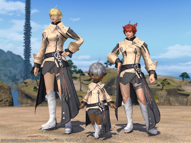FF14】ニュー・アリゼー・コスチュームセットの評判や感想まとめ