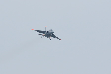 FJ5A5308b