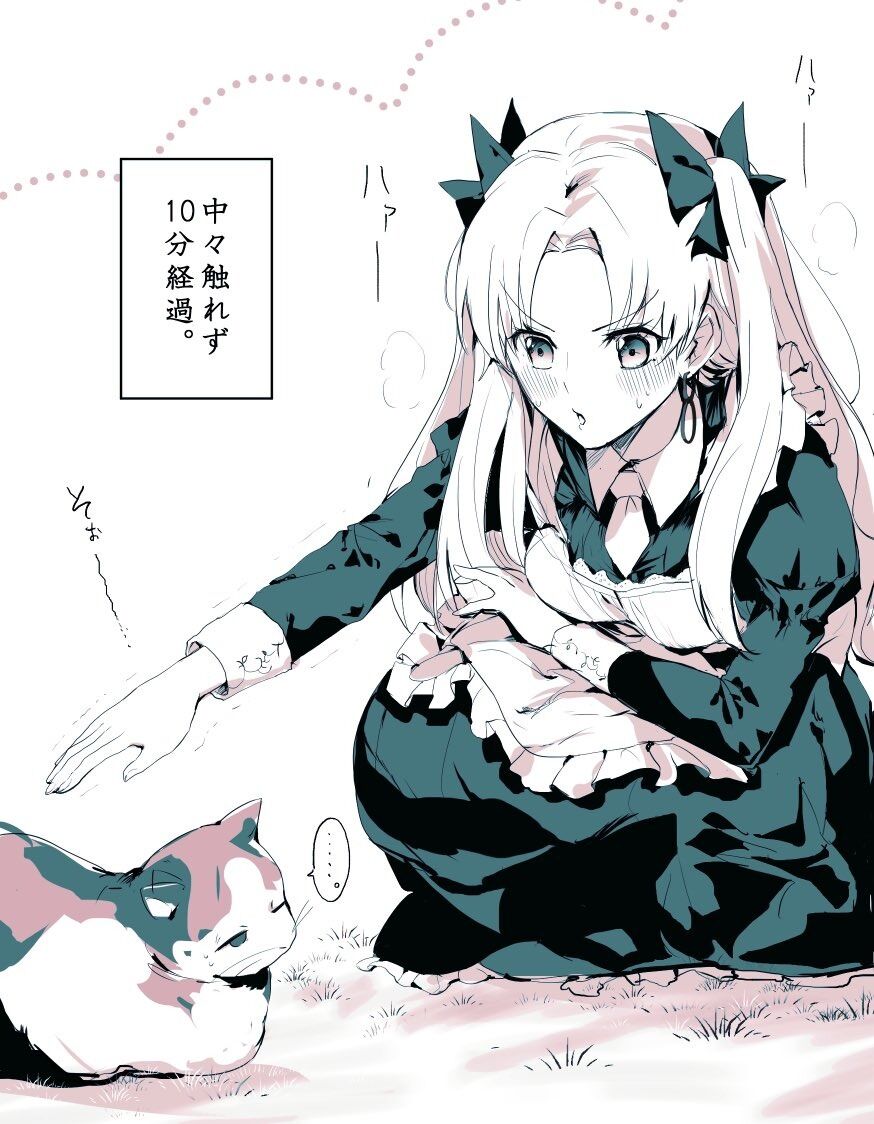 Fgo 猫をさわろうとするメイド姿のエレちゃんイラスト 中々触れず10分経過