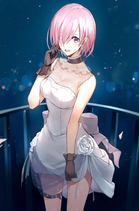 Fgo 星らすくさんのドレスマシュイラスト スカート捲し上げてるのいい Fgoまとめ カルデア速報 Fgo 星らすくさんのドレスマシュイラスト スカート捲し上げてるのいい Fgoまとめ カルデア速報