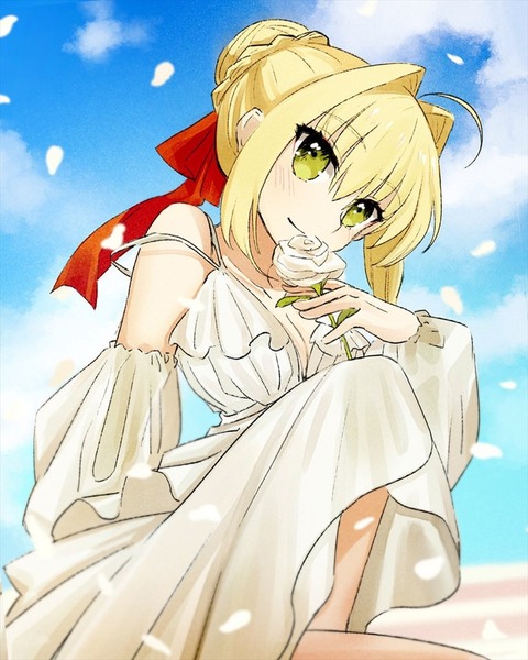 Fgo 白ドレスのネロちゃまイラスト 白い衣装も似合うネロちゃま好きです Fgoまとめ カルデア速報