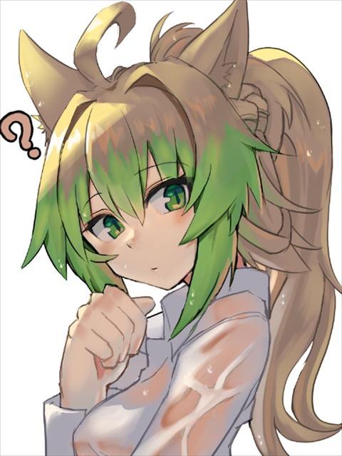 【FGO】透けシャツのアタランテ姐さんイラスト！！　アタランテ姐さん可愛いです！！