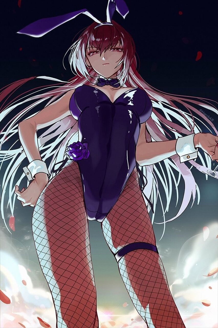 Fgo 見下し構図のバニー師匠イラスト 見下されたい