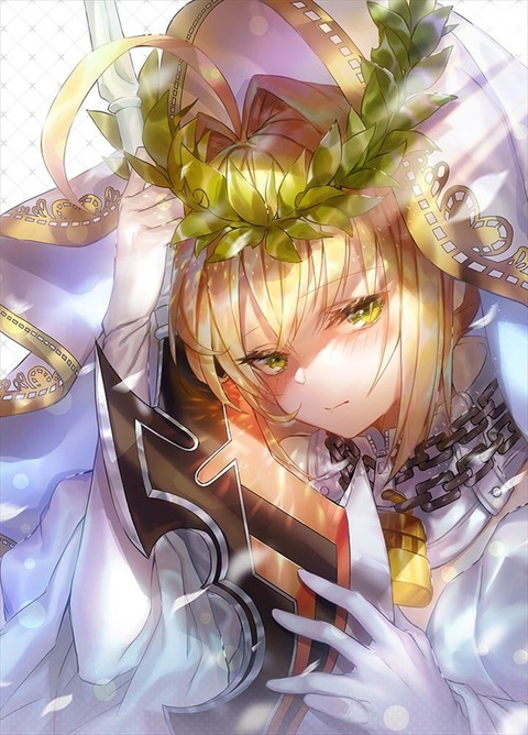 Fgo エモイラさんの嫁ネロイラスト 嫁ネロ復刻 強化おめでとう Fgoまとめ カルデア速報