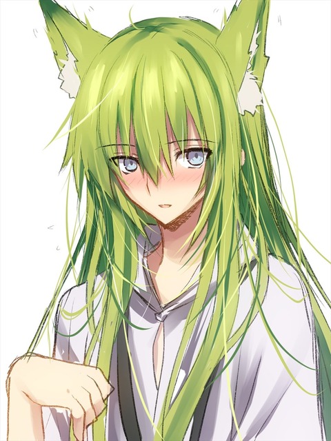 Fgo 猫耳エルキドゥイラスト 変容aいいぞ Fgoまとめ カルデア速報