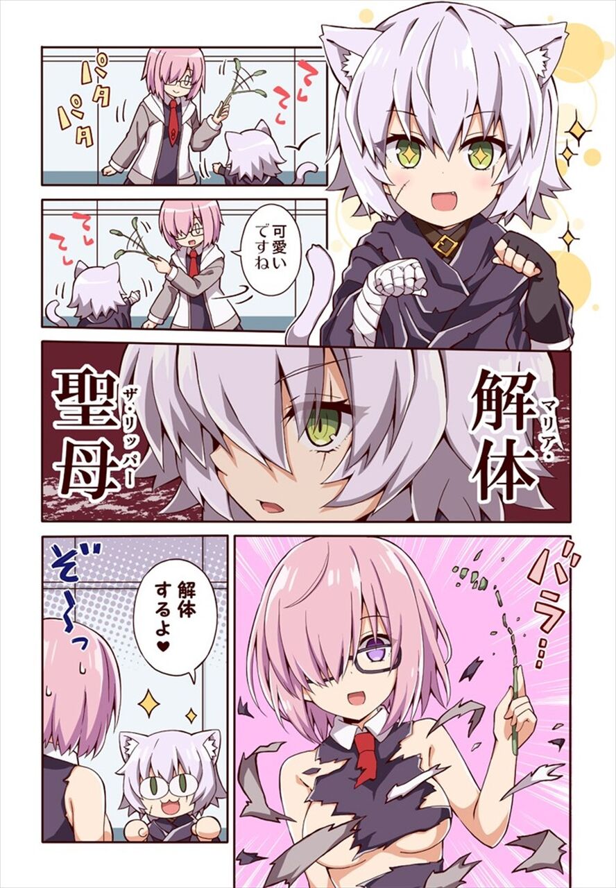 Fgo 猫の日ジャックちゃん マシュの洋服を解体してしまう 解体するよ
