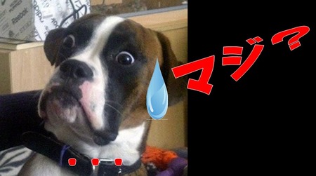 maji2